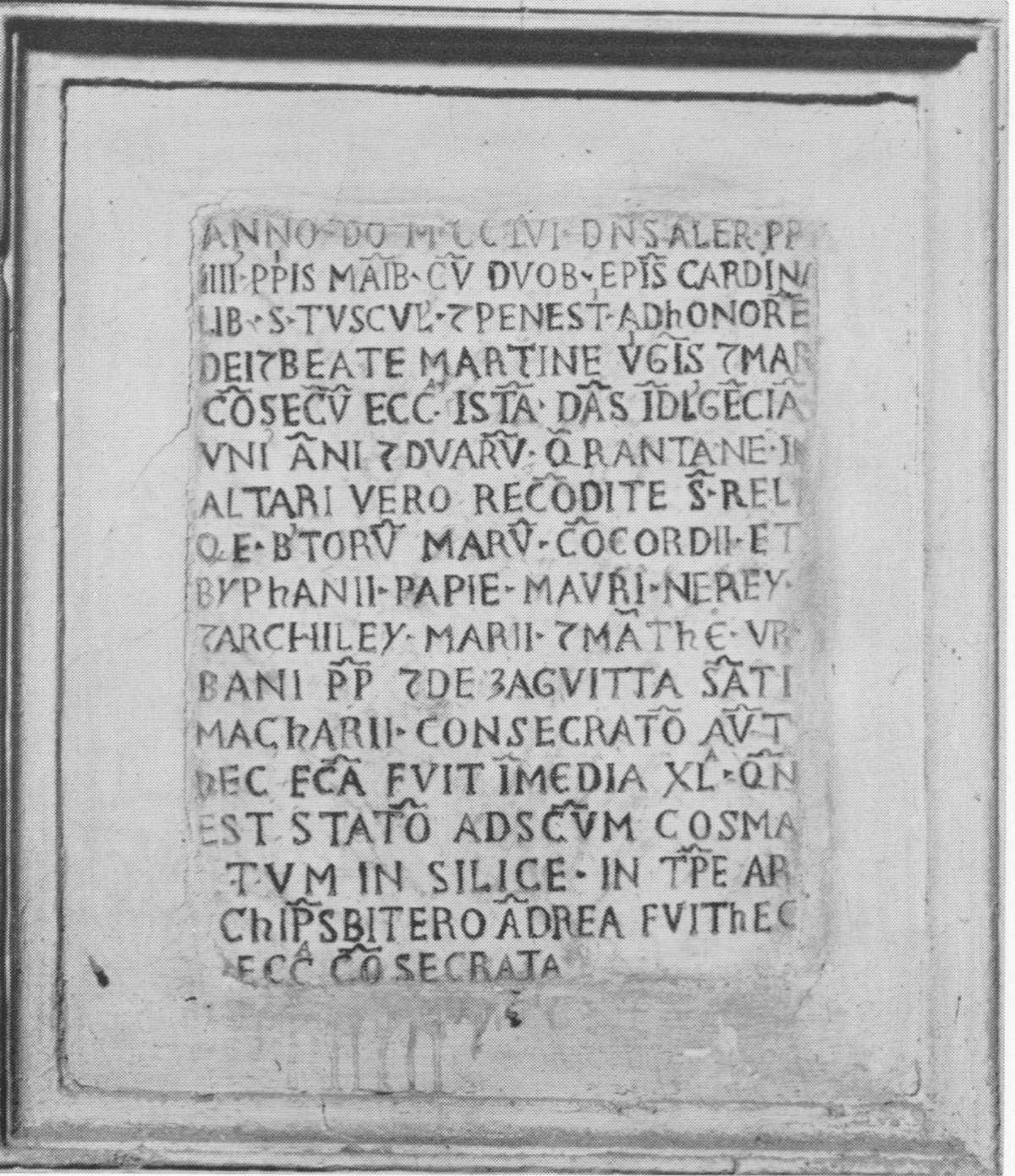 Abb. 384-Martina_009.tiff